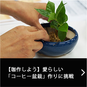 【珈作しよう】愛らしい「コーヒー盆栽」作りに挑戦
